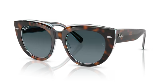 RAYBAN RB2286 1413S3 Habana oscuro sobre multicolor transparente